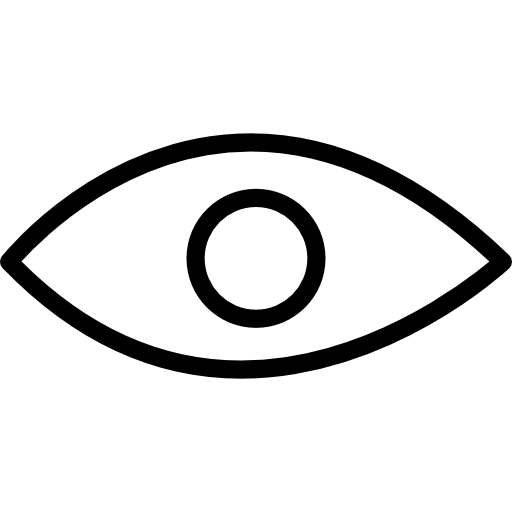 Eye of a human or an animal  icon