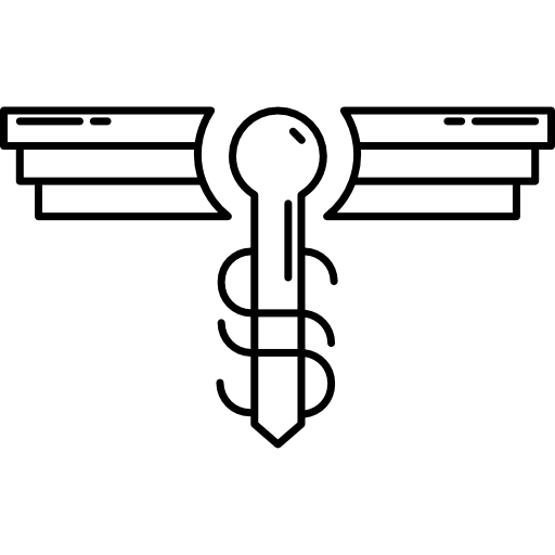 Key variant with wings  icon