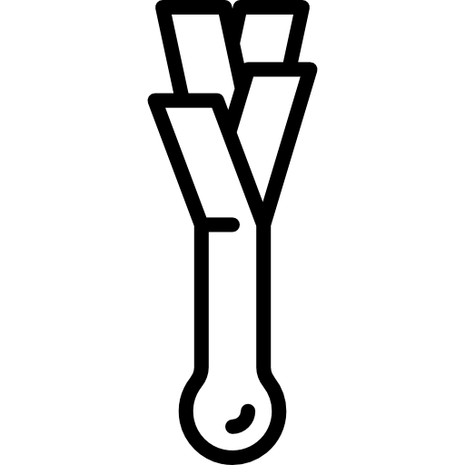 부추 Special Lineal icon