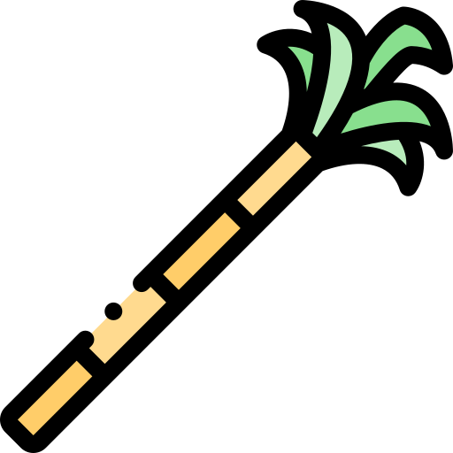 Sugar cane Detailed Rounded Lineal color icon