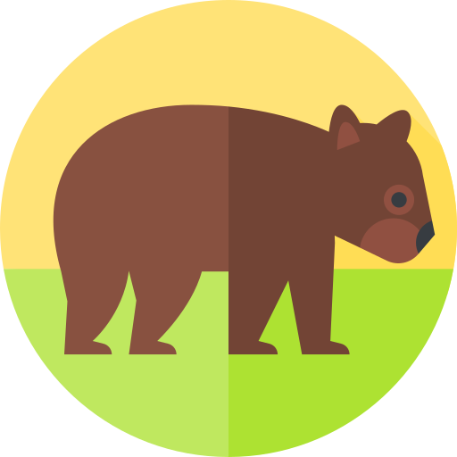 wombat Flat Circular Flat Icône