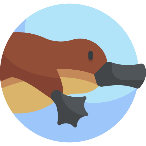 Platypus Detailed Flat Circular Flat icon