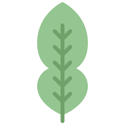 Kaffir lime leaf Generic Flat icon
