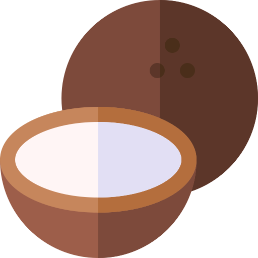 kokosnuss Basic Rounded Flat icon