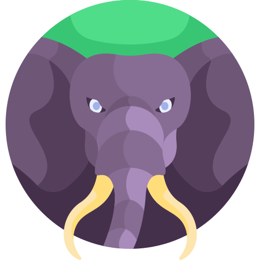 코끼리 Detailed Flat Circular Flat icon