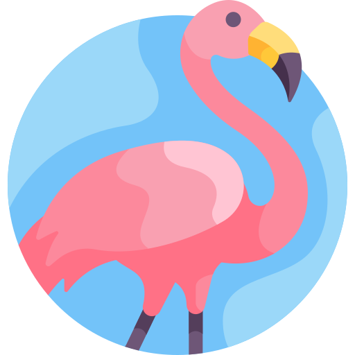 flamingo Detailed Flat Circular Flat Ícone