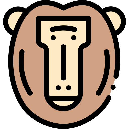 Baboon Detailed Rounded Lineal color icon