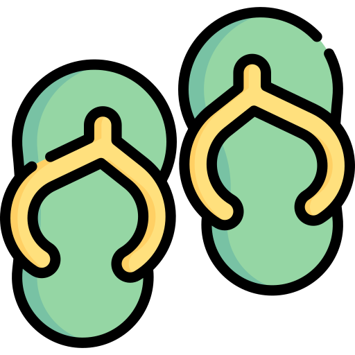 Flip flops Special Lineal color icon