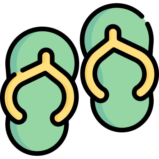 flip flops Special Lineal color icon