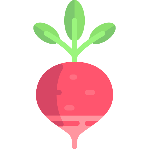 Radish Special Flat icon