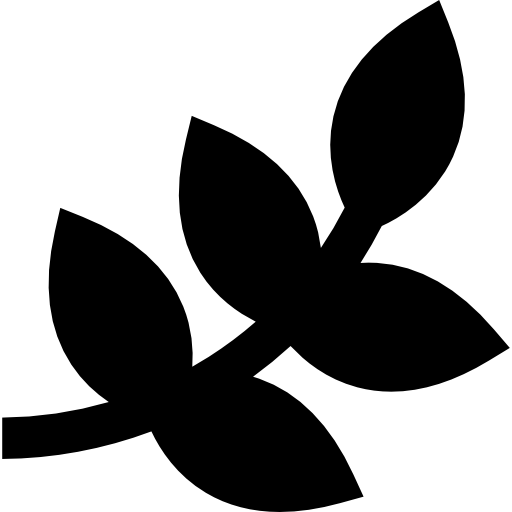 aceituna Basic Straight Filled icono