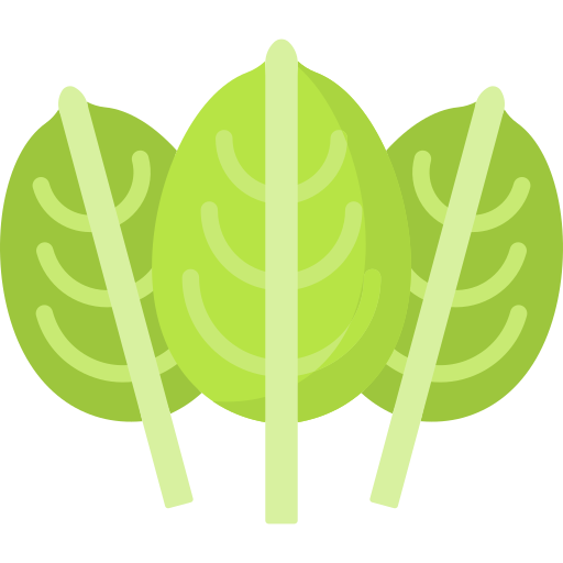 코카 잎 Special Flat icon