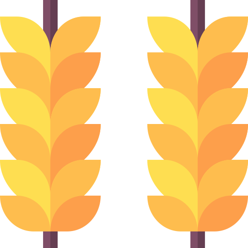 Wheat Basic Straight Flat icon