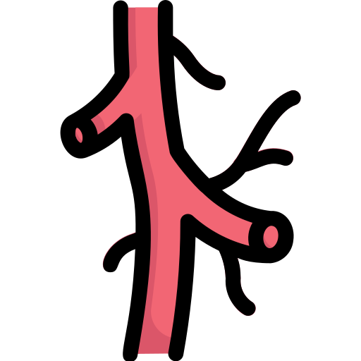 Artery Generic Outline Color icon