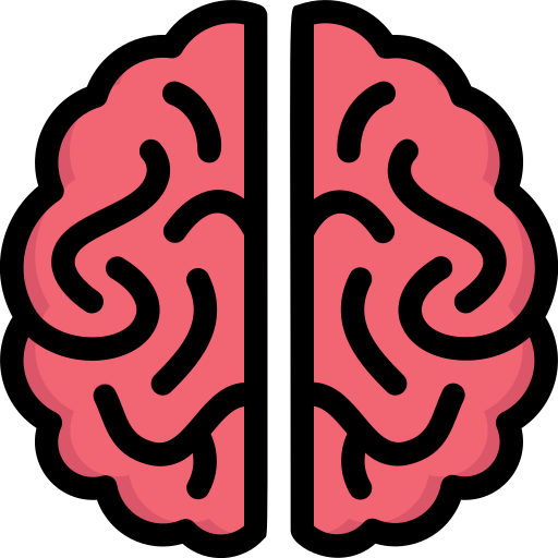 hersenen Generic Outline Color icoon