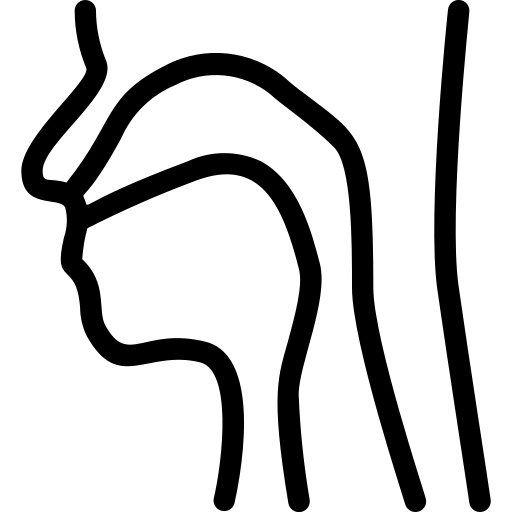 pharynx Generic Detailed Outline Icône