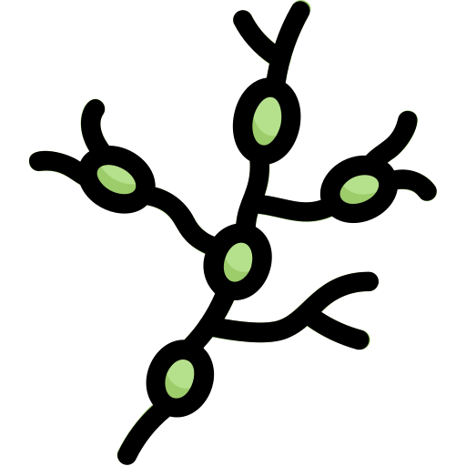 linfonodos Generic Outline Color Ícone