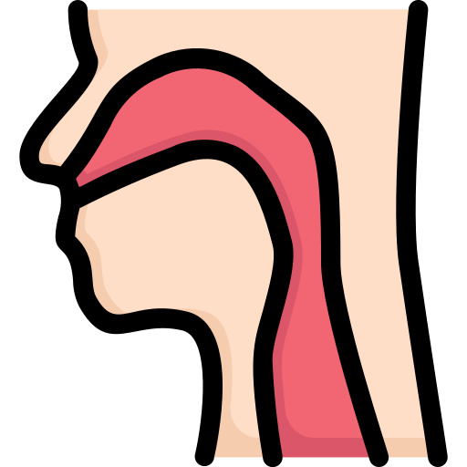 咽頭 Generic Outline Color icon