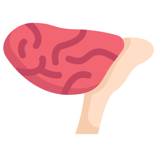 cerebelo Generic Flat icono