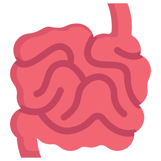 Small intestine Generic Flat icon
