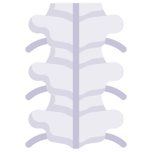 colonna vertebrale Generic Flat icona