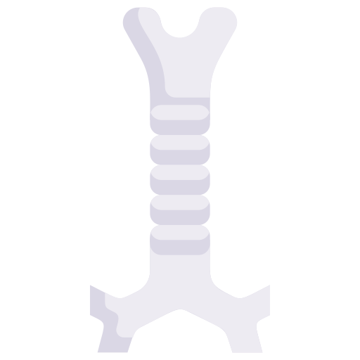 Trachea Generic Flat icon