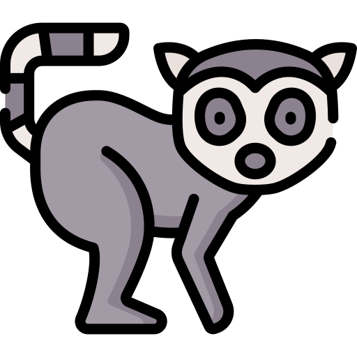 lemur Special Lineal color icoon