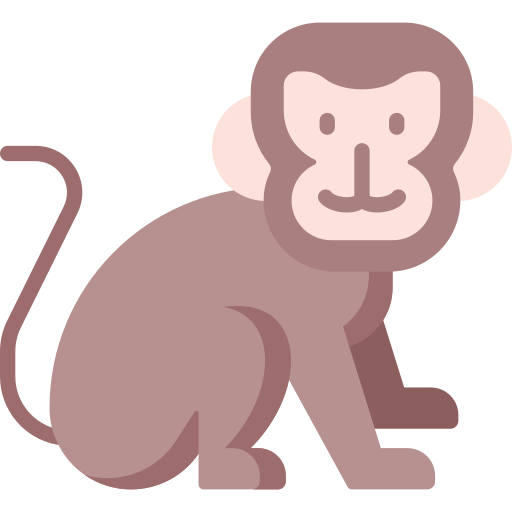 Monkey Special Flat icon