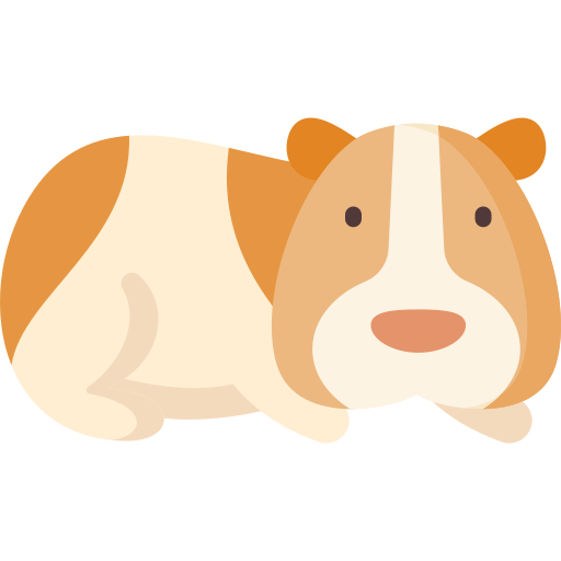 Guinea pig Special Flat icon