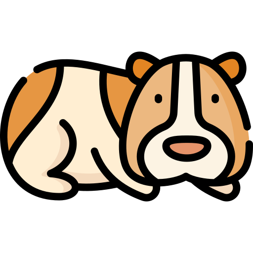 meerschweinchen Special Lineal color icon