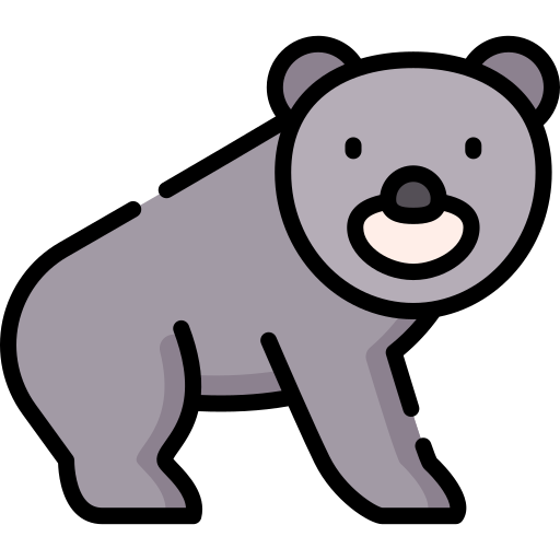 Bear Special Lineal color icon