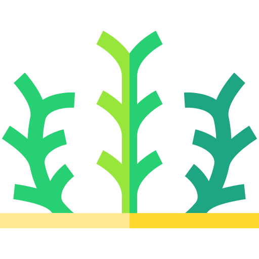 algen Basic Straight Flat icoon