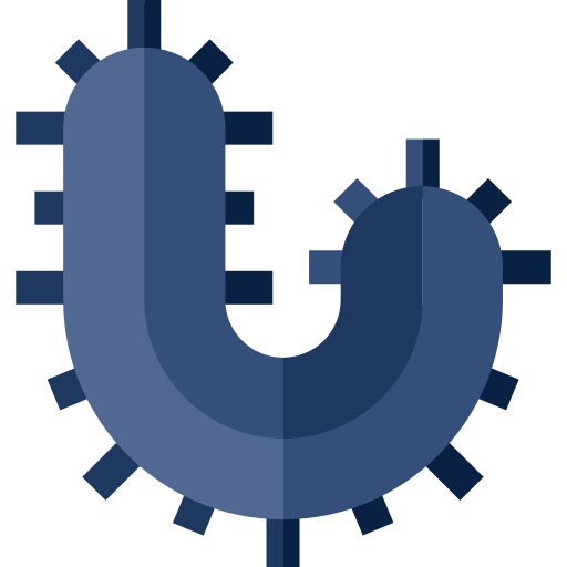 ナマコ Basic Straight Flat icon
