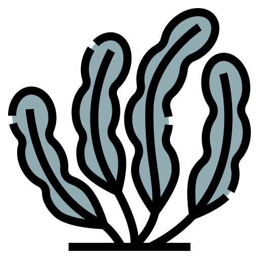 海藻 Aphiradee (monkik) Lineal Color icon