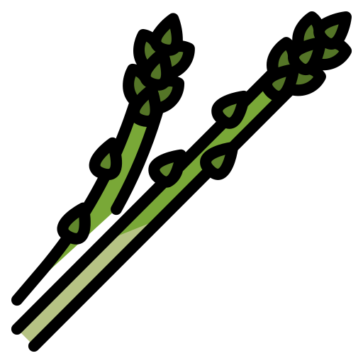 Asparagus dDara Lineal Color icon