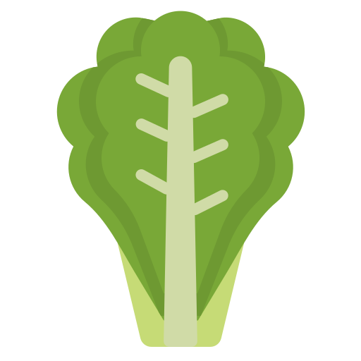 Lettuce dDara Flat icon