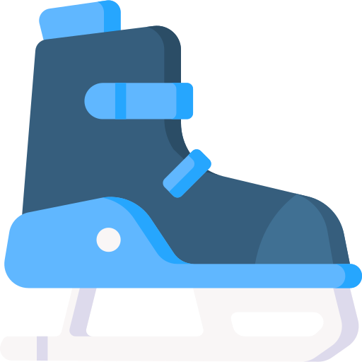 pattinaggio sul ghiaccio Special Flat icona