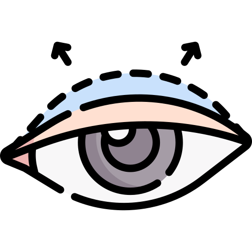 Eyelid Special Lineal color icon