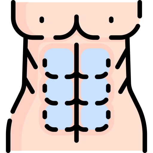 abdominales Special Lineal color icono