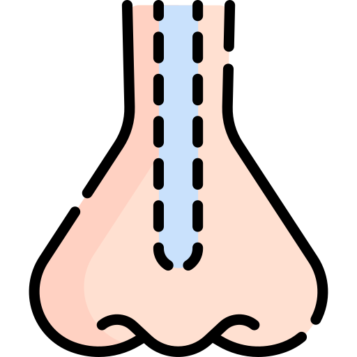 rhinoplastie Special Lineal color Icône
