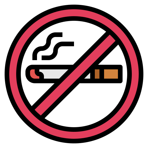 non fumare Smalllikeart Lineal Color icona