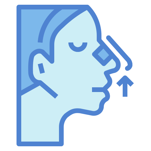 코 성형 Generic Blue icon
