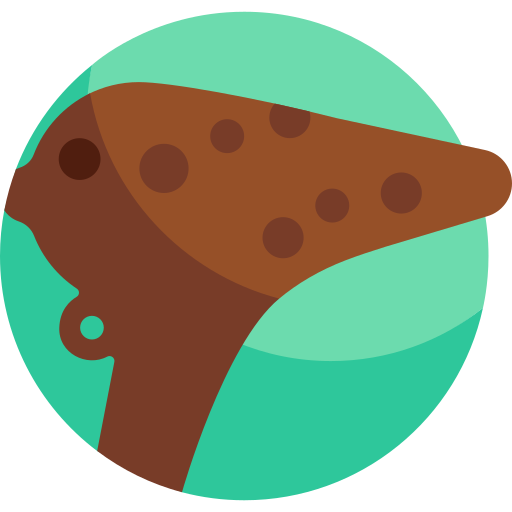 ocarina Detailed Flat Circular Flat icoon