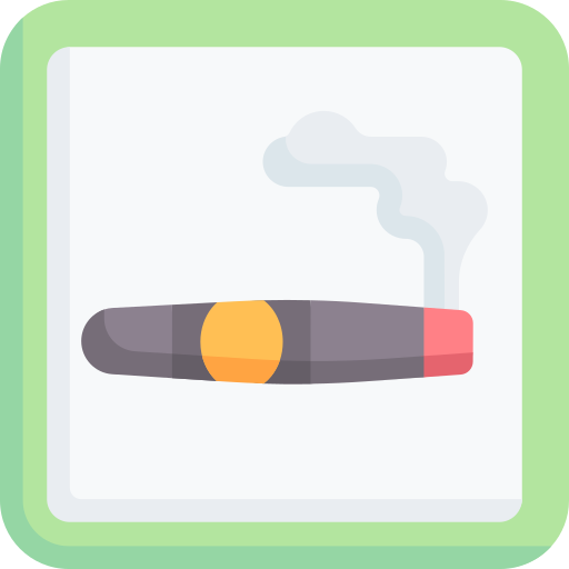 Smoking area Special Flat icon