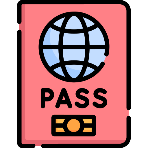 reisepass Special Lineal color icon