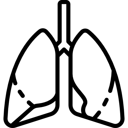 pulmones Special Lineal icono