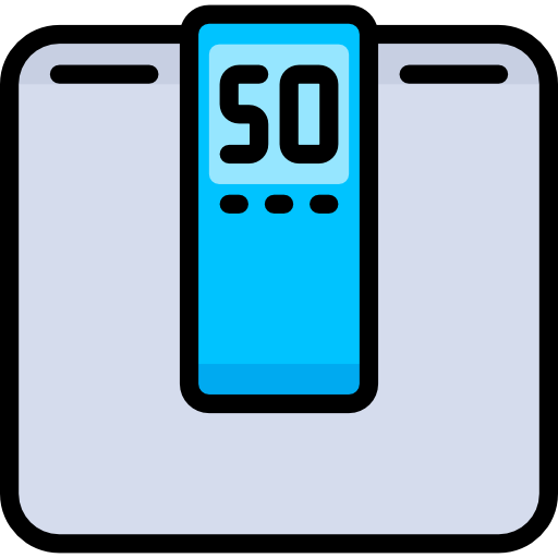 Scale Special Lineal color icon