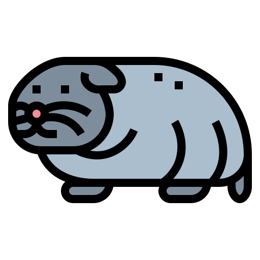 hamster Smalllikeart Lineal Color icon
