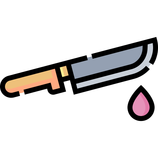 cuchillo Detailed Straight Lineal color icono