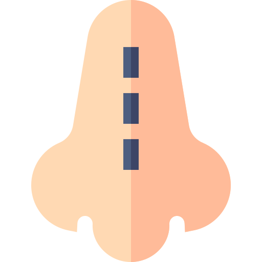 neus Basic Straight Flat icoon